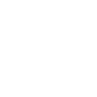 online-icon